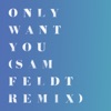 Only Want You (Sam Feldt Remix) - Single