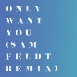 Only Want You (Sam Feldt Remix) - Single - Rita Ora