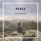 Peace - Akash Bawa lyrics