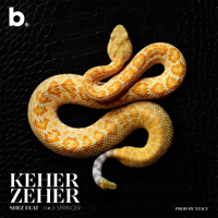 Shez - Keher Zeher (feat. Haji Springer & Xtacy) - Single artwork