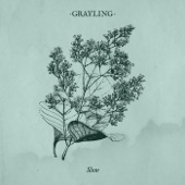 Grayling - Chalk Dust