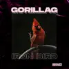 Stream & download Iron Bird - Single