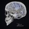 Tight Grip (feat. Ashton Mallory) - Teir lyrics