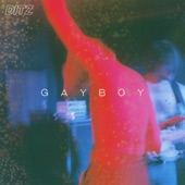 DITZ - Gayboy