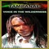 Voice in the Wilderness - Single