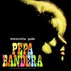 Encarnita Polo - Pepa Bandera