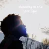 Shining in the Spotlight - Single album lyrics, reviews, download
