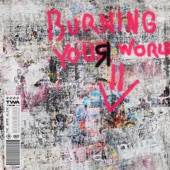 BURNING YOUR WORLD DOWN artwork