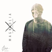 Magnolia X artwork