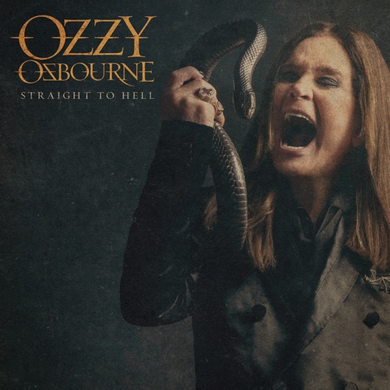 Cover artwork for Straight to Hell