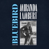 Bluebird (Acoustic) artwork