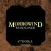 Morrowind Reimagined - EP album lyrics, reviews, download