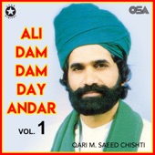 Ali Dam Dam Day Andar, Vol. 1 artwork