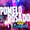 Pomelo Rosado - Arturo Jaimes y Los Cantantes lyrics