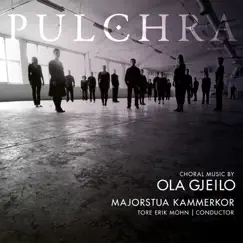 Pulchra by Majorstua Kammerkor & Tore Erik Mohn album reviews, ratings, credits