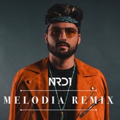 Melodia Remix (Radio Edit) artwork