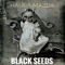 Black Seeds - HAURA MAZDA lyrics