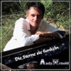 Die Sterne sie funkeln - Single