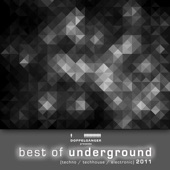 Best of Underground 2011 (Techno / Techhouse / Electronic) artwork