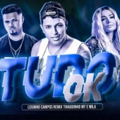 Tudo Ok (feat. Thiaguinho MT & Mila) artwork