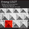 Liszt: Étude in 12 Exercises, Op. 1 / Études de Paganini / Études de concert / Ab Irato