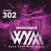 Wake Your Mind 302 (Transmission Prague 2019 Live Set) artwork