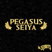 Pegasus Seiya artwork