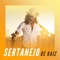 Pra te esquecer não dá - Zezé Di Camargo lyrics