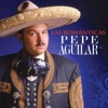 Pepe Aguilar - Perdóname
