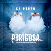 Perigosa (feat. Anselmo Ralph) artwork