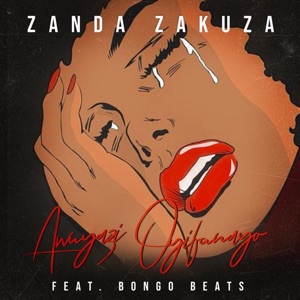 Awuyazi Oyifunayo (feat. Bongo Beats) - Single