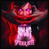 Spider Bite