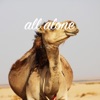 All Alone - Single