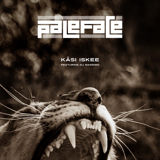 Cover artwork for Käsi iskee (feat. DJ Massimo)
