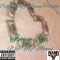 I'm N Luv Wit My Money (feat. Queen Trixxie) - Bigg Dilly lyrics