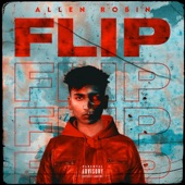 Allen Robin - Flip