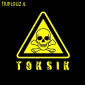 Toksik artwork