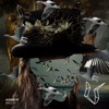 Ausem FF - Birdz