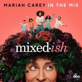In the Mix - Single