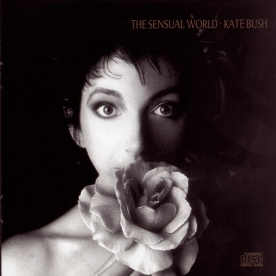 Cover artwork for The Fog