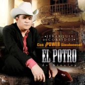 Jerarquia de Corridos con Power Sinaloense! (Edited Version) artwork