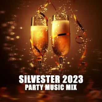 Silvester Party Mix by Various Artists album reviews, ratings, credits