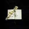 Rain Down - Single