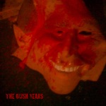 The Bush Years