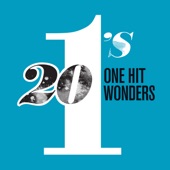 20 #1's: One Hit Wonders artwork