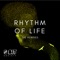 Rhythm of Life (Seraphiks Remix) - 8 Bit Society lyrics
