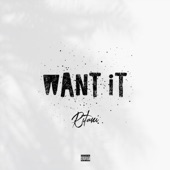 Want It artwork