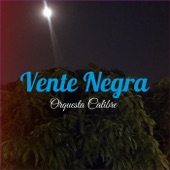 Vente Negra artwork