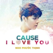 Cause I Love You artwork