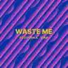 Waste Me - Single album lyrics, reviews, download